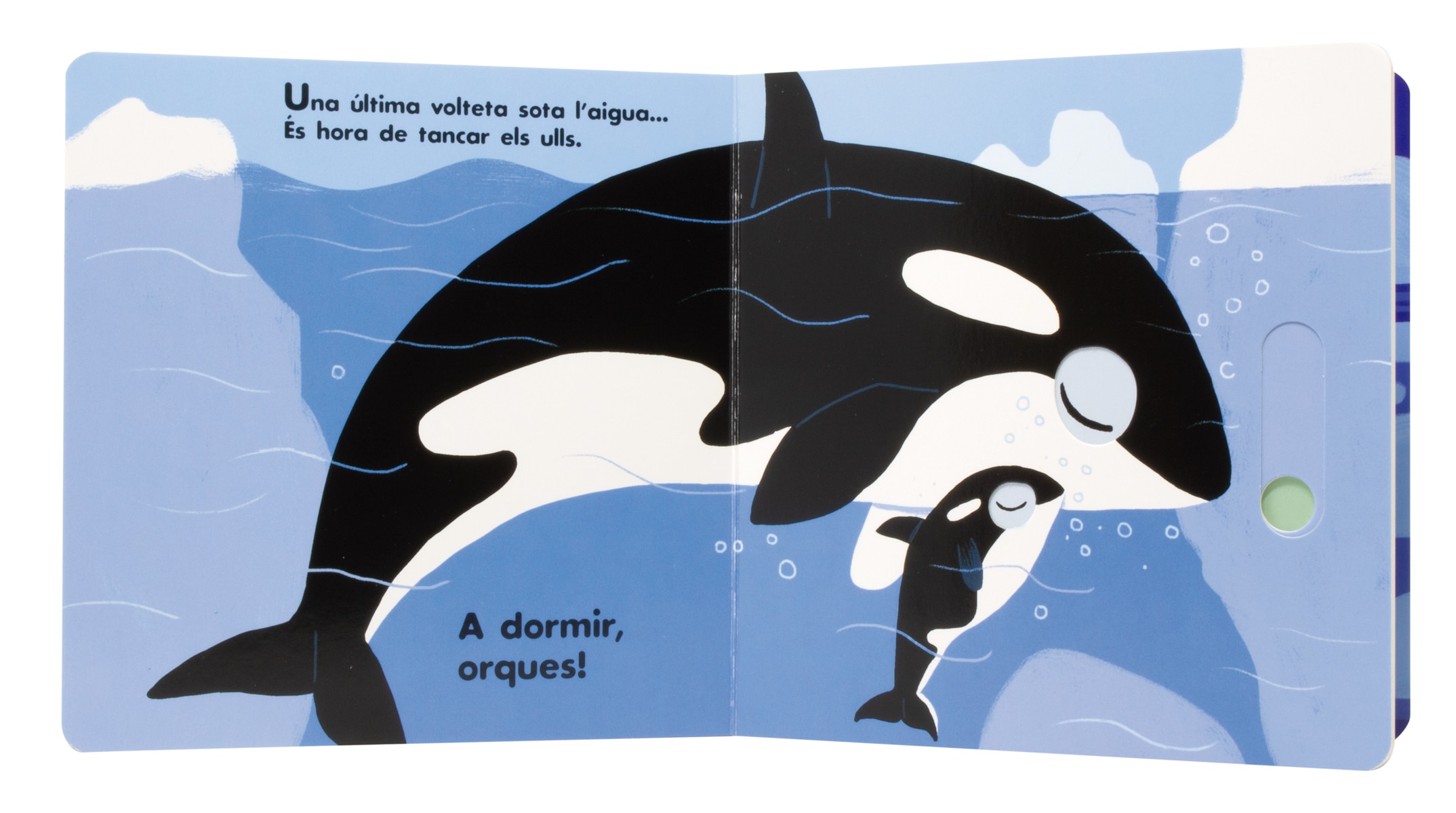 A dormir! Els animals polars 3