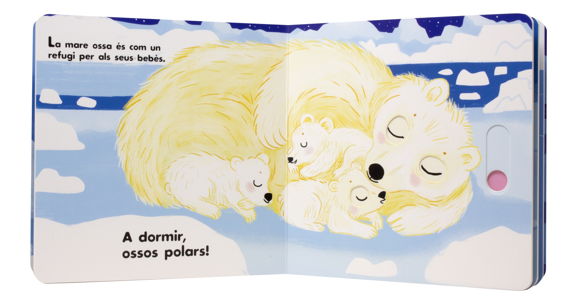 A dormir! Els animals polars 4