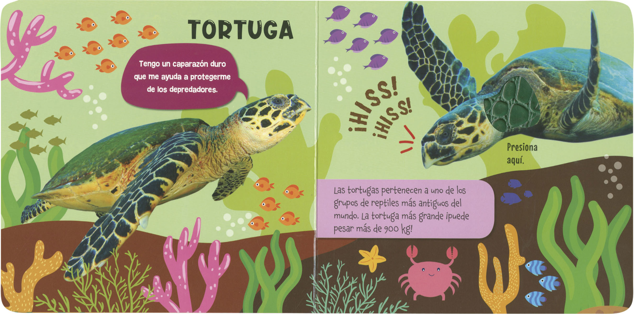 Animales del Mar (Capa dura) 2