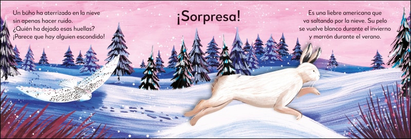 ¡Pop-Up sorpresa! - En el polo norte: Cuento con Pop-Ups, una sorpresa en cada solapa 5