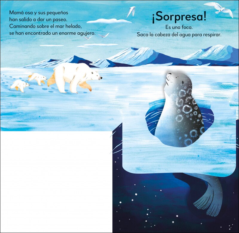 ¡Pop-Up sorpresa! - En el polo norte: Cuento con Pop-Ups, una sorpresa en cada solapa 6