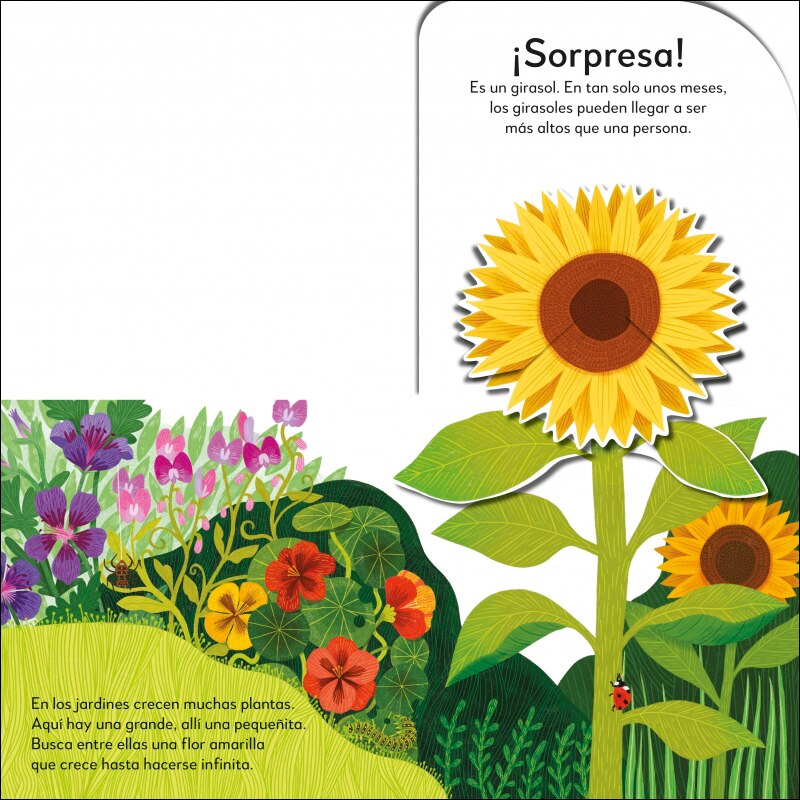¡Pop-Up sorpresa! - Entre las flores: Cuento con Pop-Ups, una sorpresa en cada solapa 6
