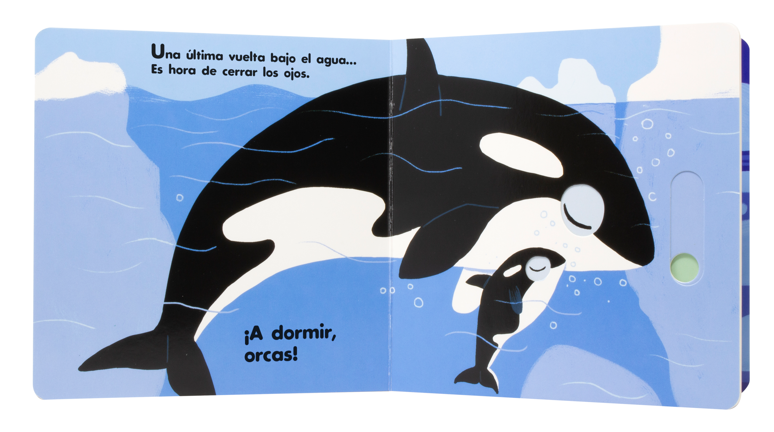 ¡A dormir! Los animales polares 3