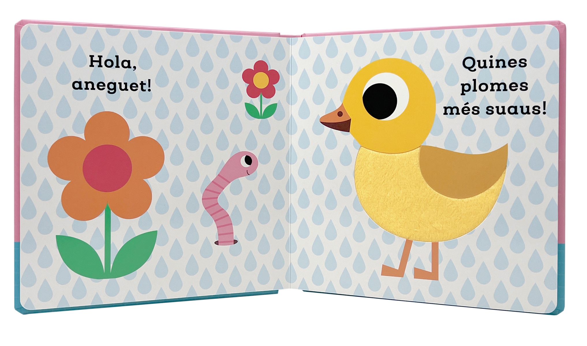 Hola, aneguet! Llibre amb textures 3