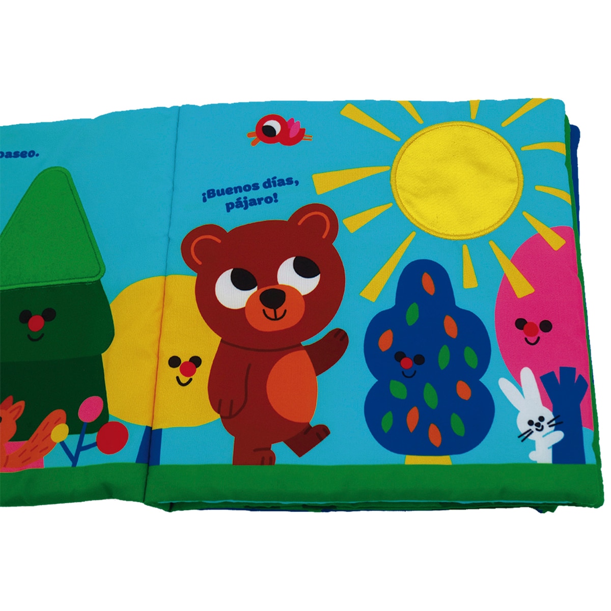 Bado, el oso pardo 5