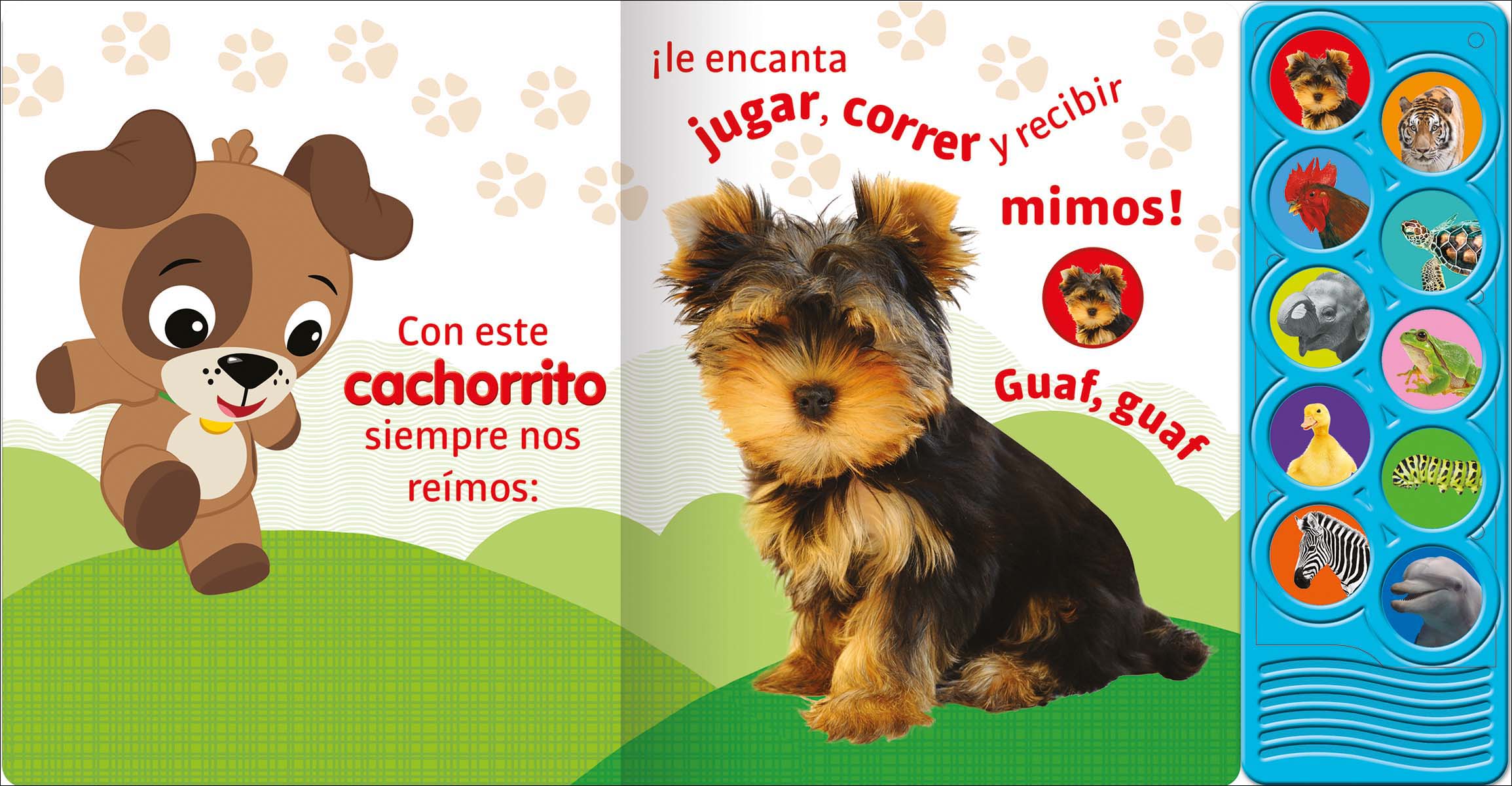 ANIMALES ASOMBROSOS BABY EINSTEIN 3