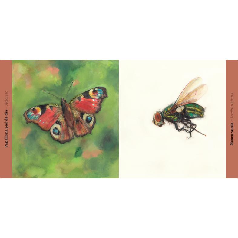 Animals: Descobreix les criatures de la natura 3