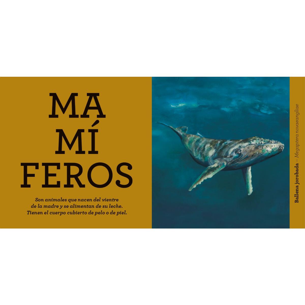 Animales: Descubre las criaturas de la naturaleza 4