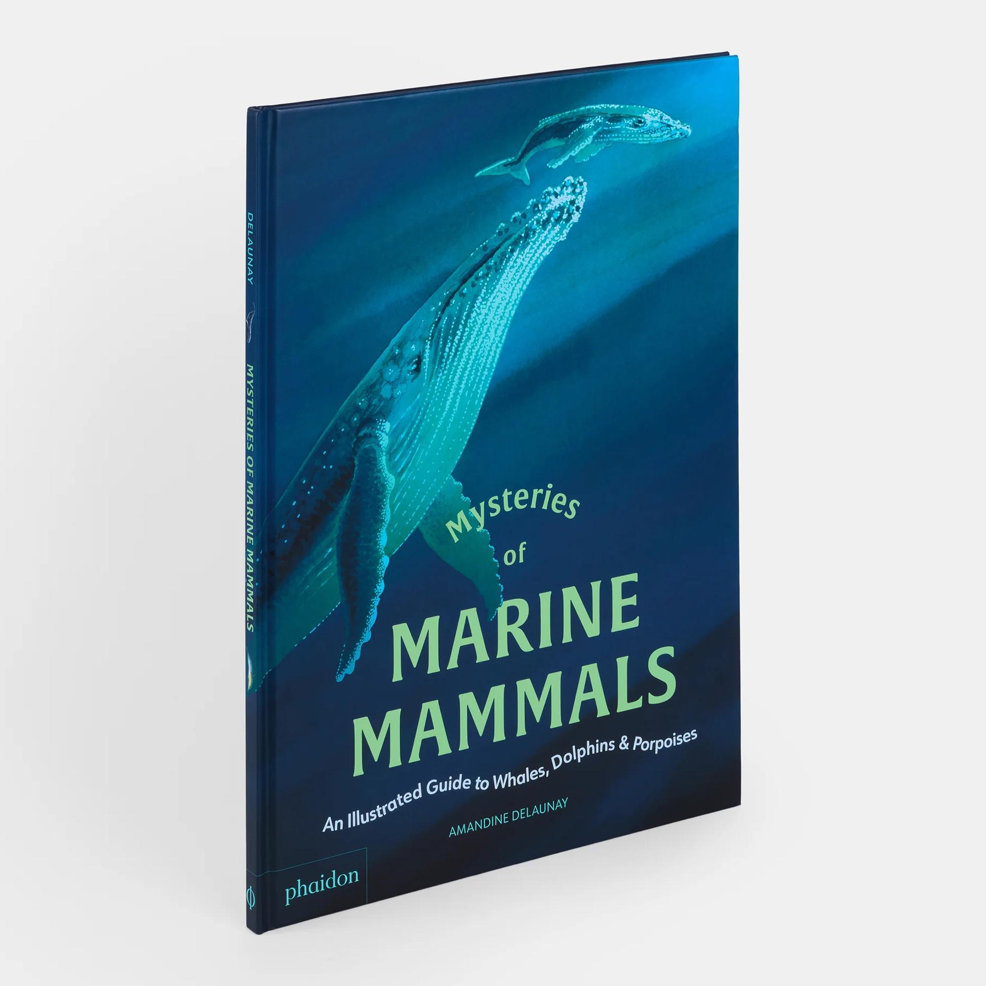 Mysteries of marine mammals 1