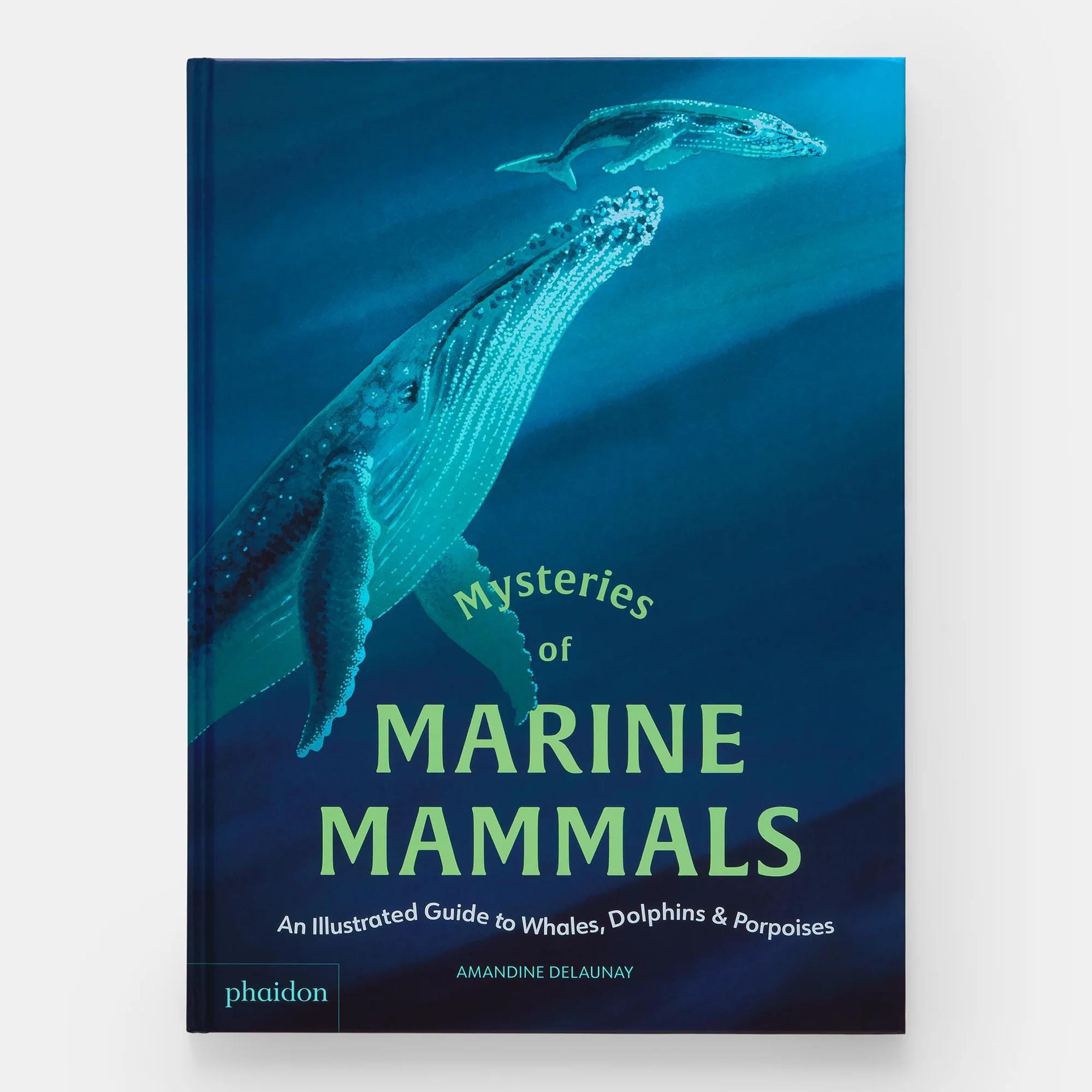 Mysteries of marine mammals 2