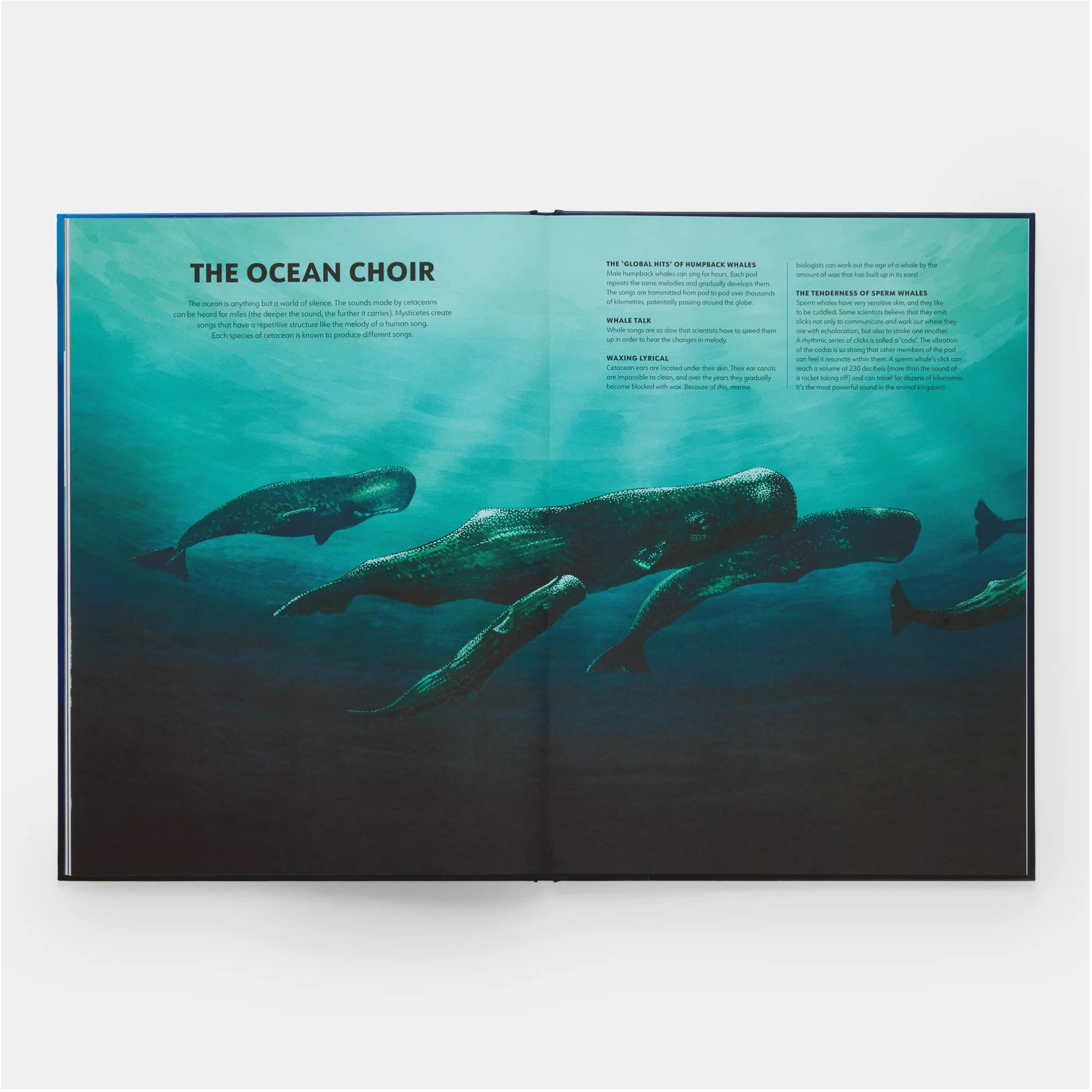 Mysteries of marine mammals 8