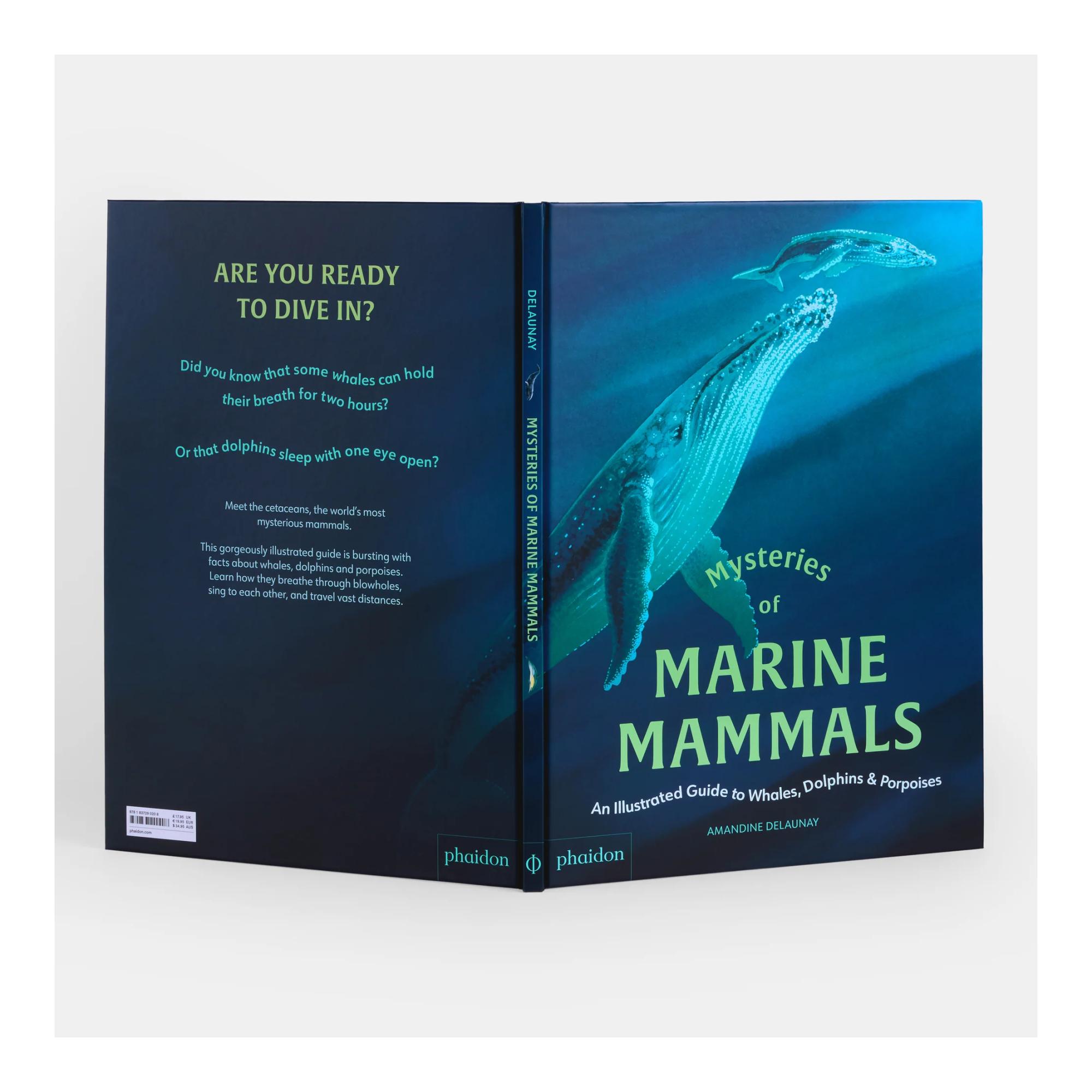Mysteries of marine mammals 10
