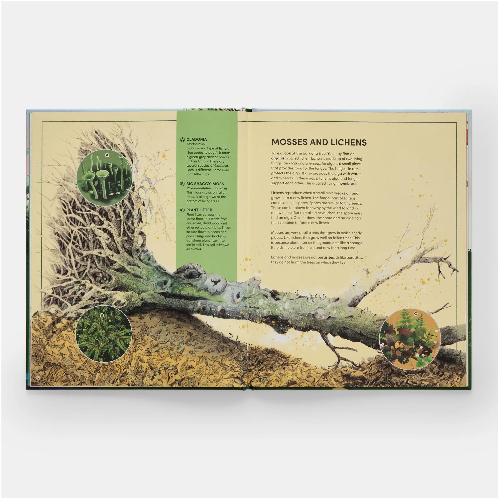 The tomorrow tree - eng 5