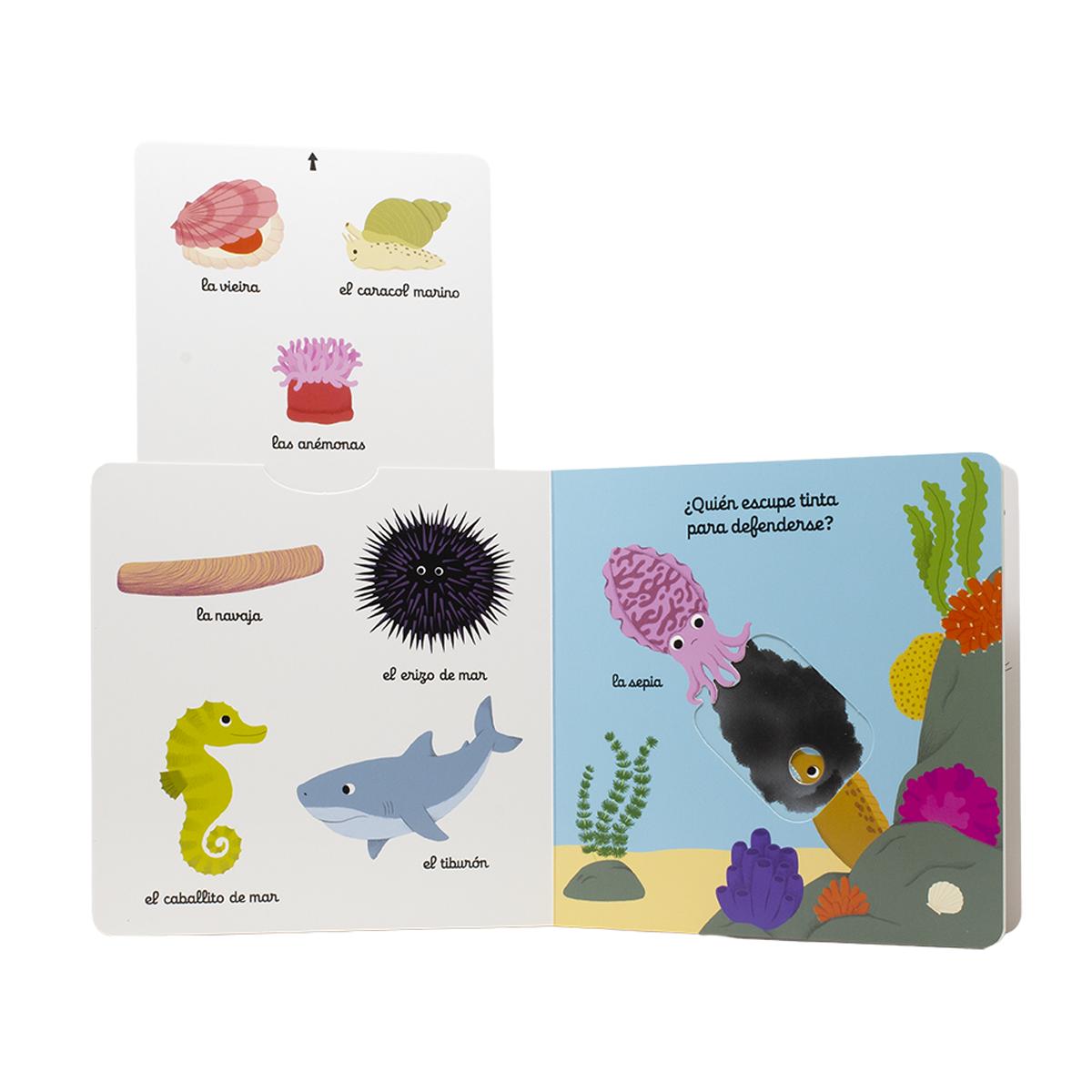 El pequeño libro del océano 3
