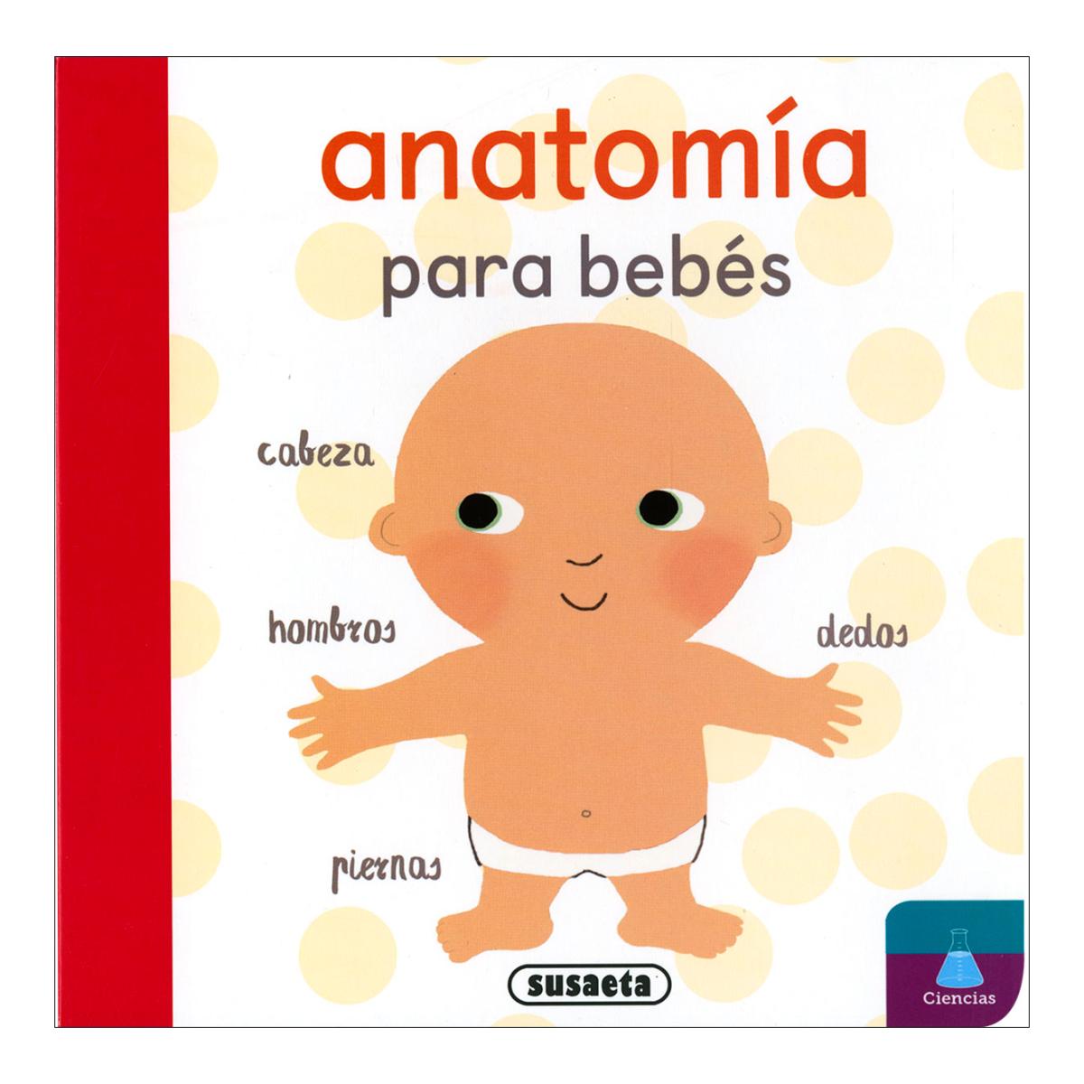 Anatomía para bebés 1
