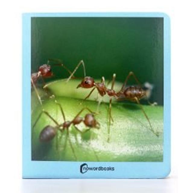 Imagem 0 de Animalitos