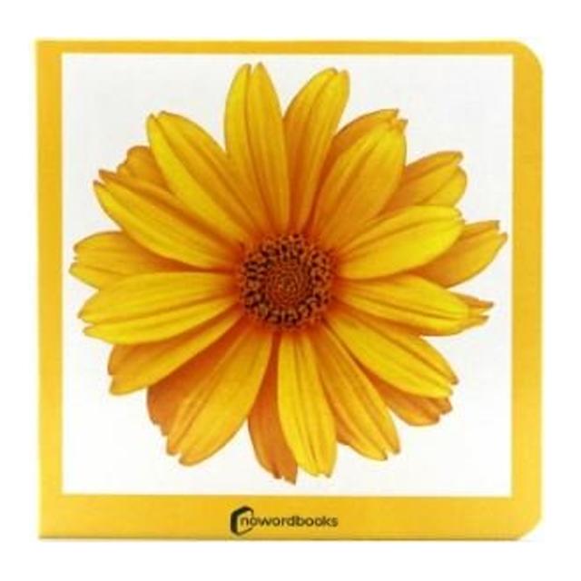 Imagen 1 de Amarillo