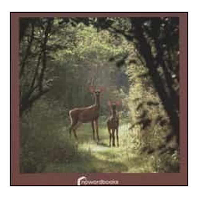 Imagen 0 de LOS ANIMALES DEL BOSQUE  (Tapa dura)