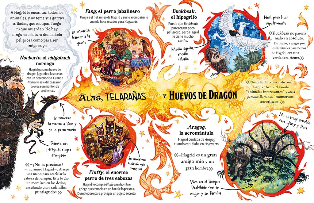 Hagrid (Pocket Potters 6). Guías de las historias de Harry Potter de J.K. Rowling 5