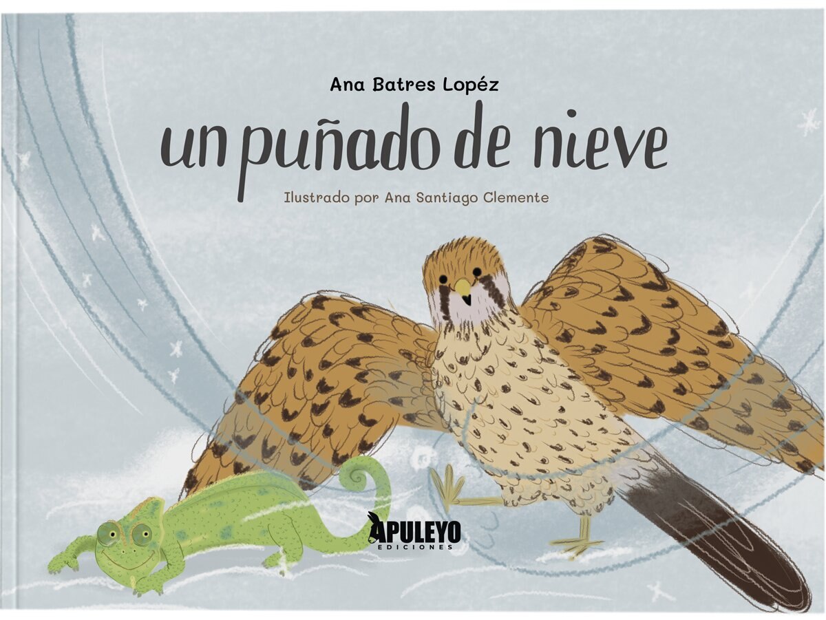 Imagen 0 de UN PUÑADO DE NIEVE  (Tapa dura)
