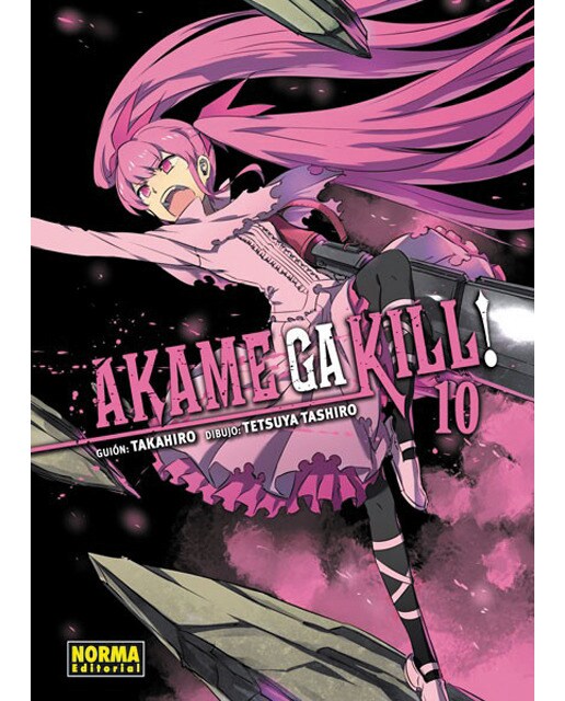Imagen 0 de Akame ga kill! 10 (Tapa blanda)