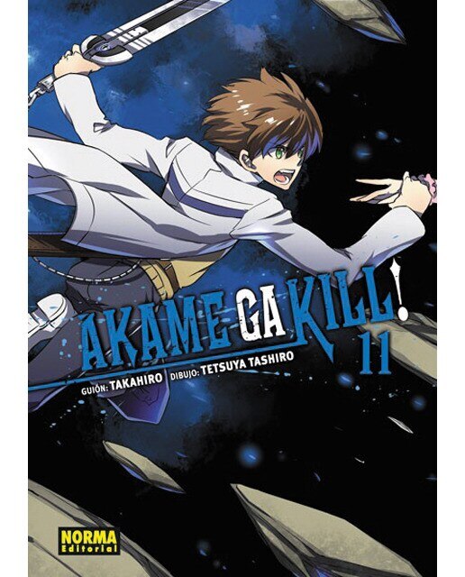 Imagen 0 de Akame ga kill! 11 (Tapa blanda)