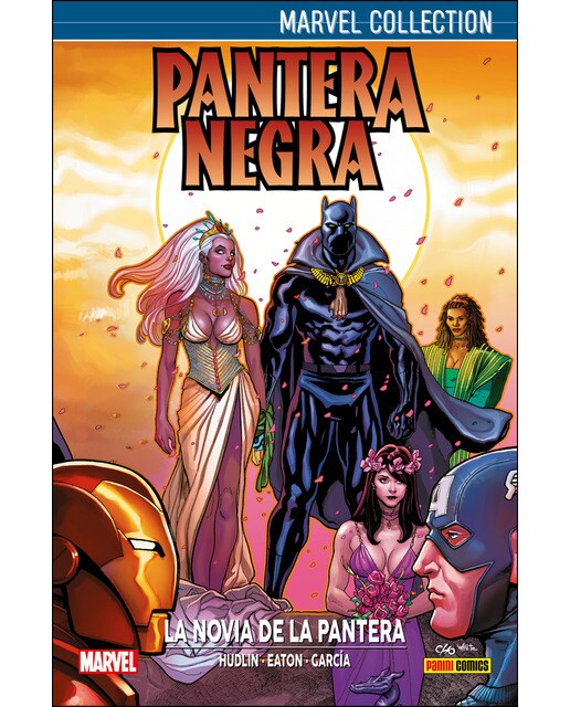 Imagen 0 de Marvel Collection Pantera Negra 2. La Novia De La Pantera: LA NOVIA DE LA PANTERA NEGRA (Tapa dura)