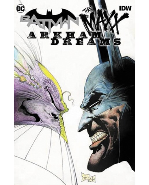Batman: the maxx: arkham dreams 1