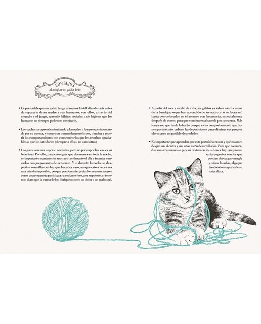 Imagen 3 de Historia de un gato: El nuevo libro de Laura Agustí (Tapa dura)