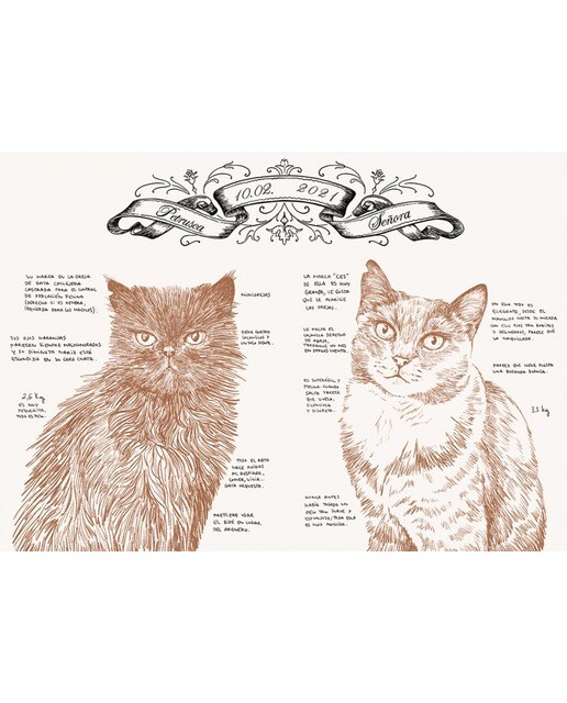 Imagen 4 de Historia de un gato: El nuevo libro de Laura Agustí (Tapa dura)