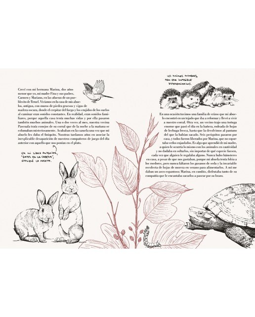 Imagen 5 de Historia de un gato: El nuevo libro de Laura Agustí (Tapa dura)