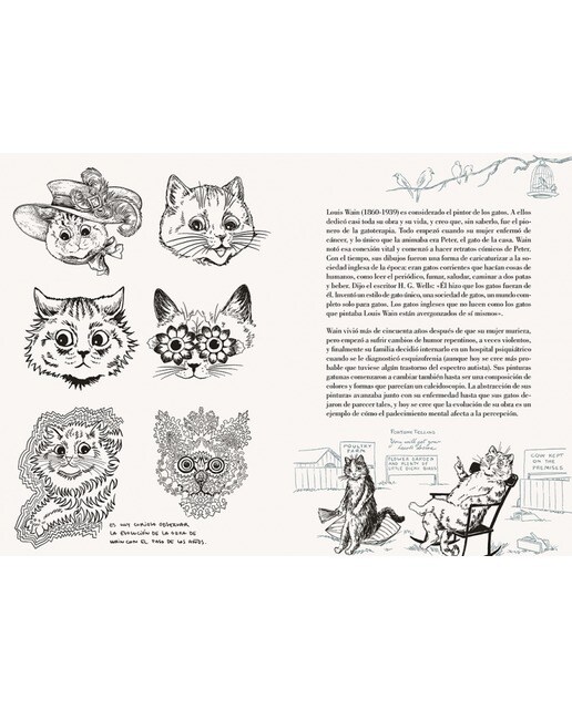 Imagen 6 de Historia de un gato: El nuevo libro de Laura Agustí (Tapa dura)