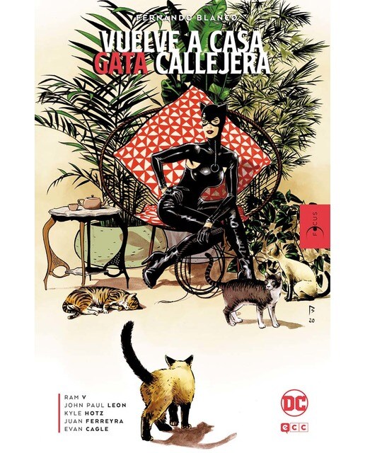 Imagen 1 de FOCUS - Fernando Blanco: Vuelve a casa, gata callejera  (Tapa dura)