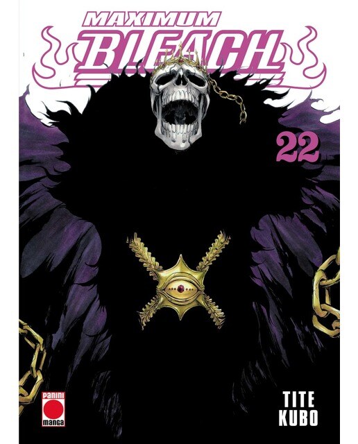 Imagen 0 de Maximum bleach n.22  (Tapa blanda)