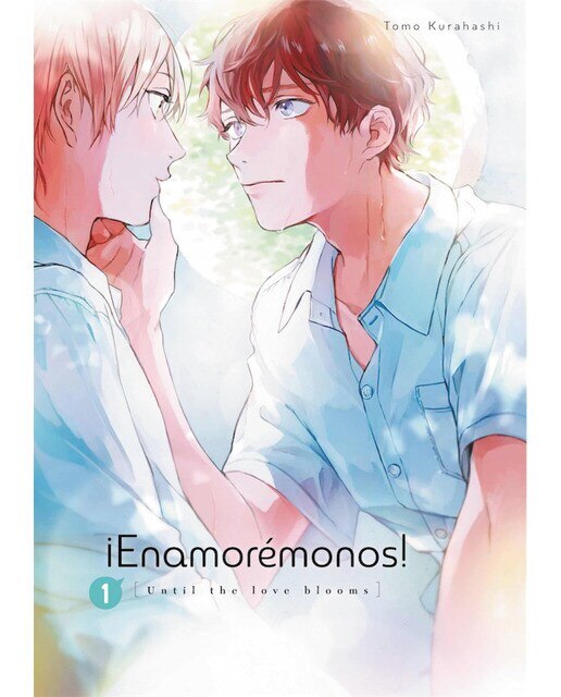 Imagen 0 de Enamoremonos 01