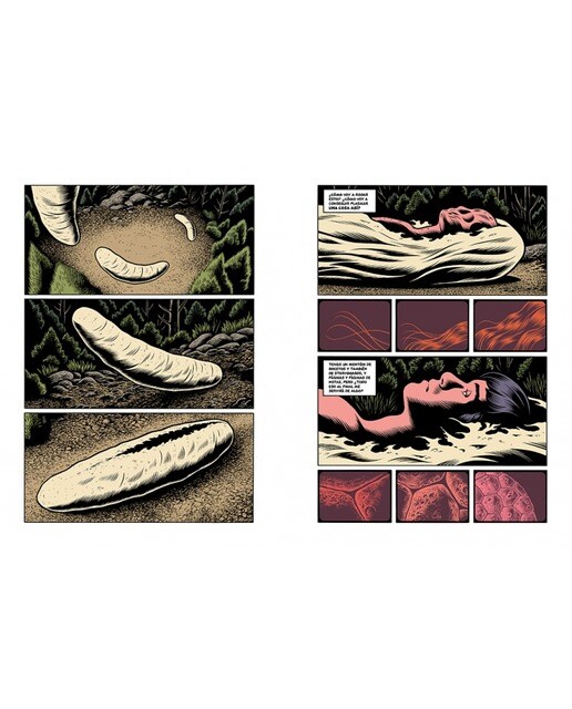 Laberintos 2 (Capa dura) 7