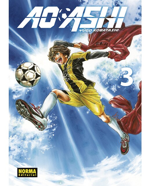 Imagen 0 de AO ASHI 03