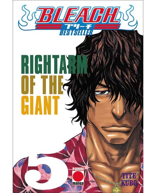 Imagen 0 de Bleach (bestseller) n.5  (Tapa blanda)