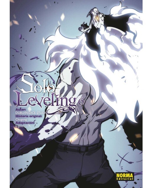 Imagen 1 de SOLO LEVELING 06