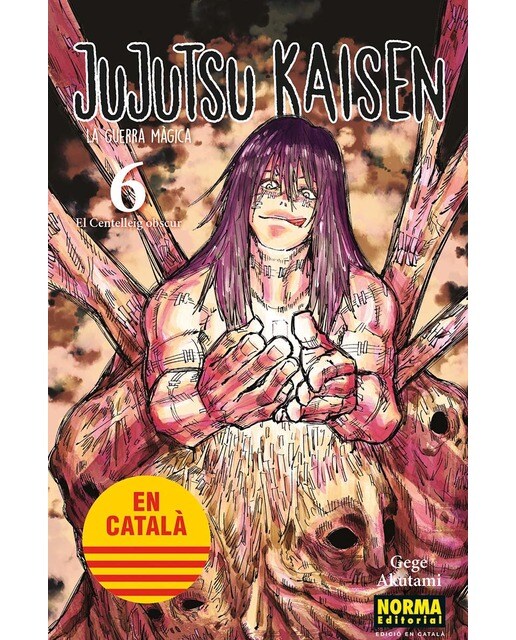 Imagen 0 de Jujutsu Kaisen 06 (català)