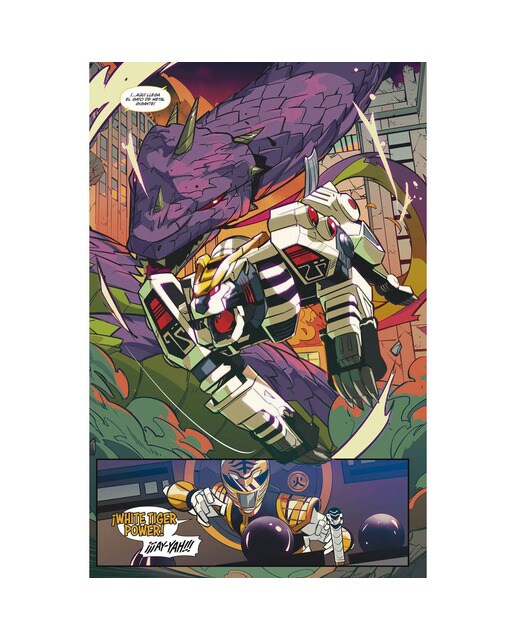Go Go Power Rangers  (Tapa dura) 3