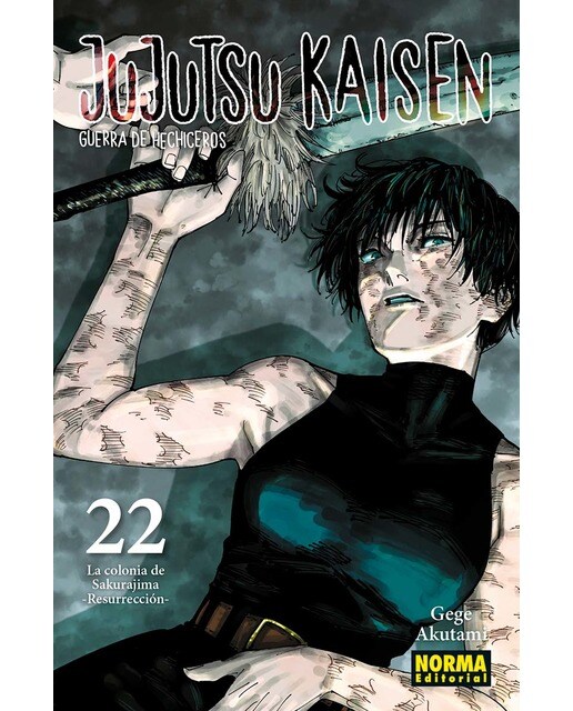 JUJUTSU KAISEN 22