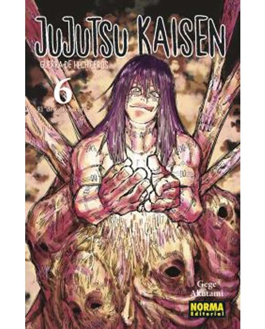 Imagen 0 de JUJUTSU KAISEN 06 (NUEVO PVP)