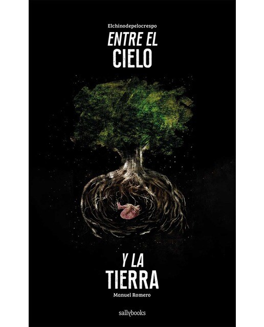Entre el cielo y la tierra (Capa dura) 1