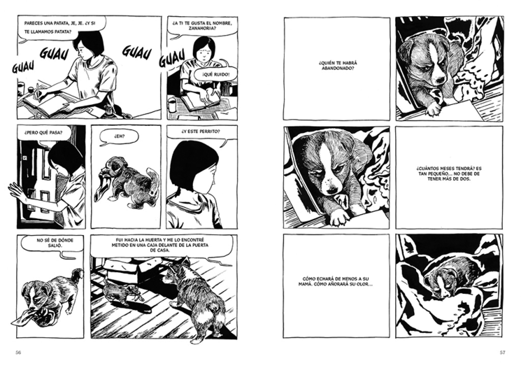 Perros (Capa mole) 3