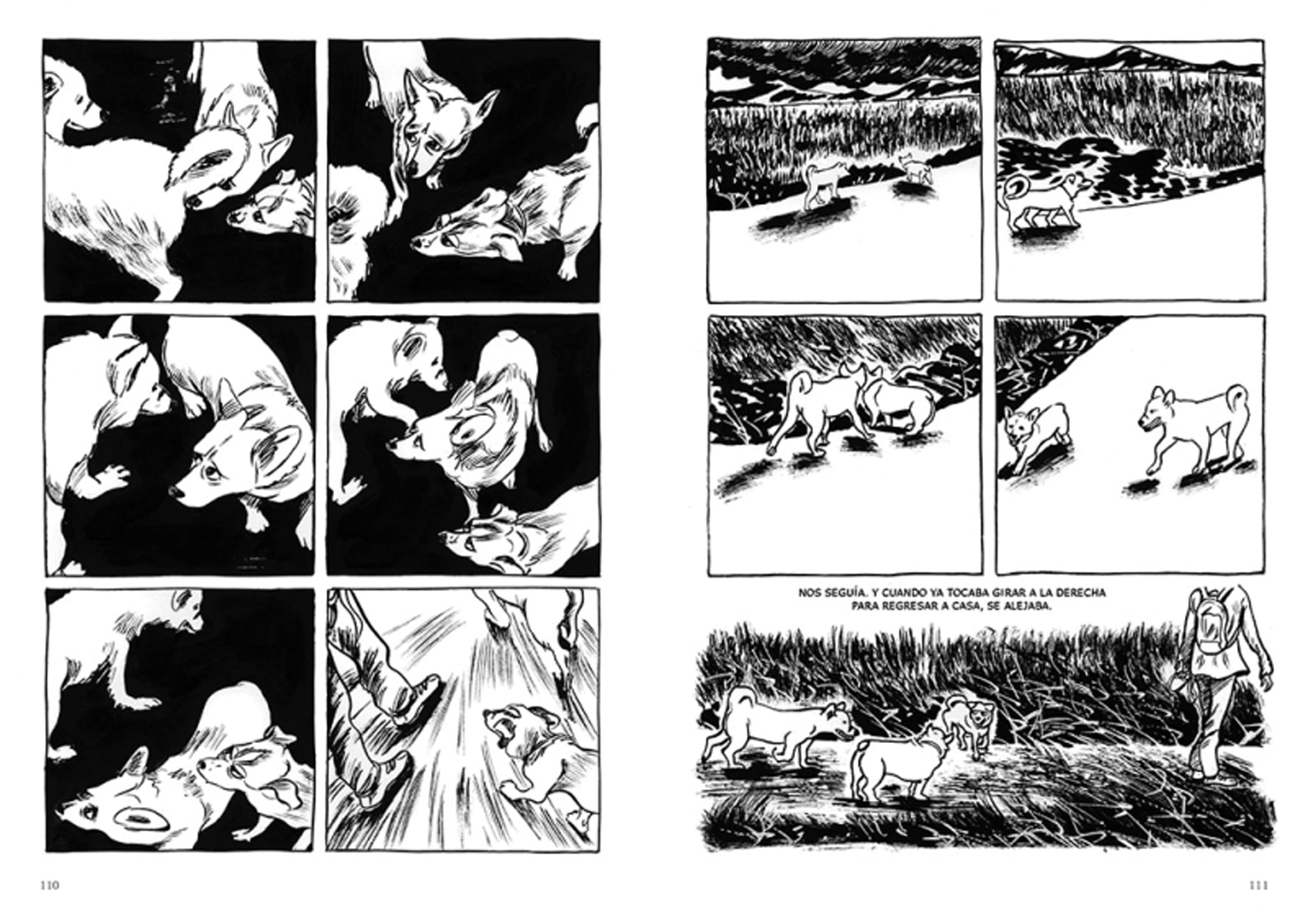 Perros (Capa mole) 4