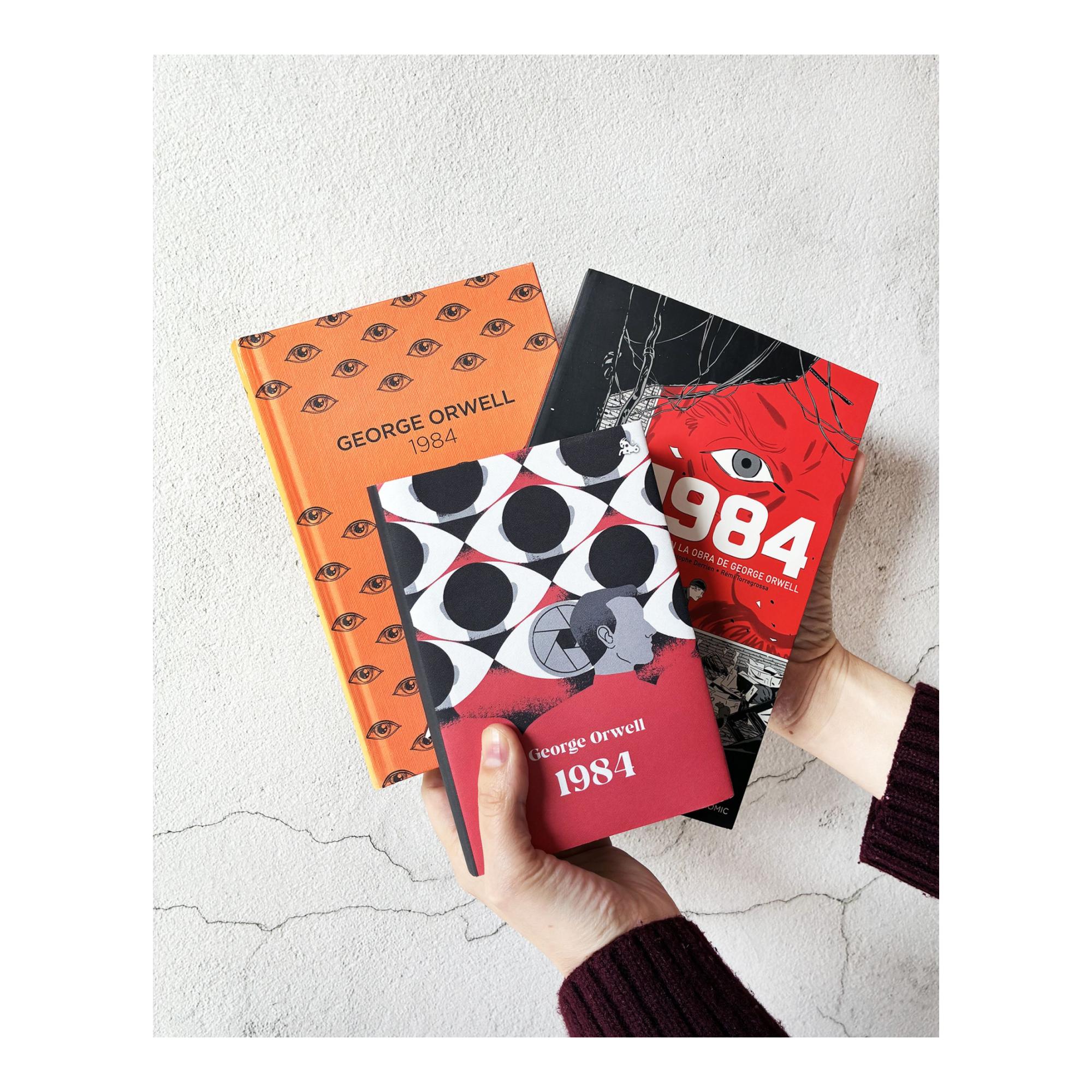 1984 (novela gráfica): Basado en la obra de George Orwell (Bolso) (Capa mole com abas) 2