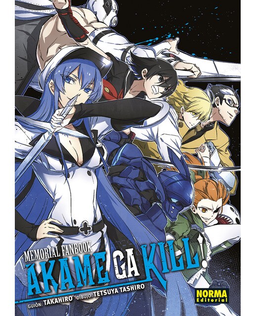 AKAME MEMORIAL FANBOOK 1