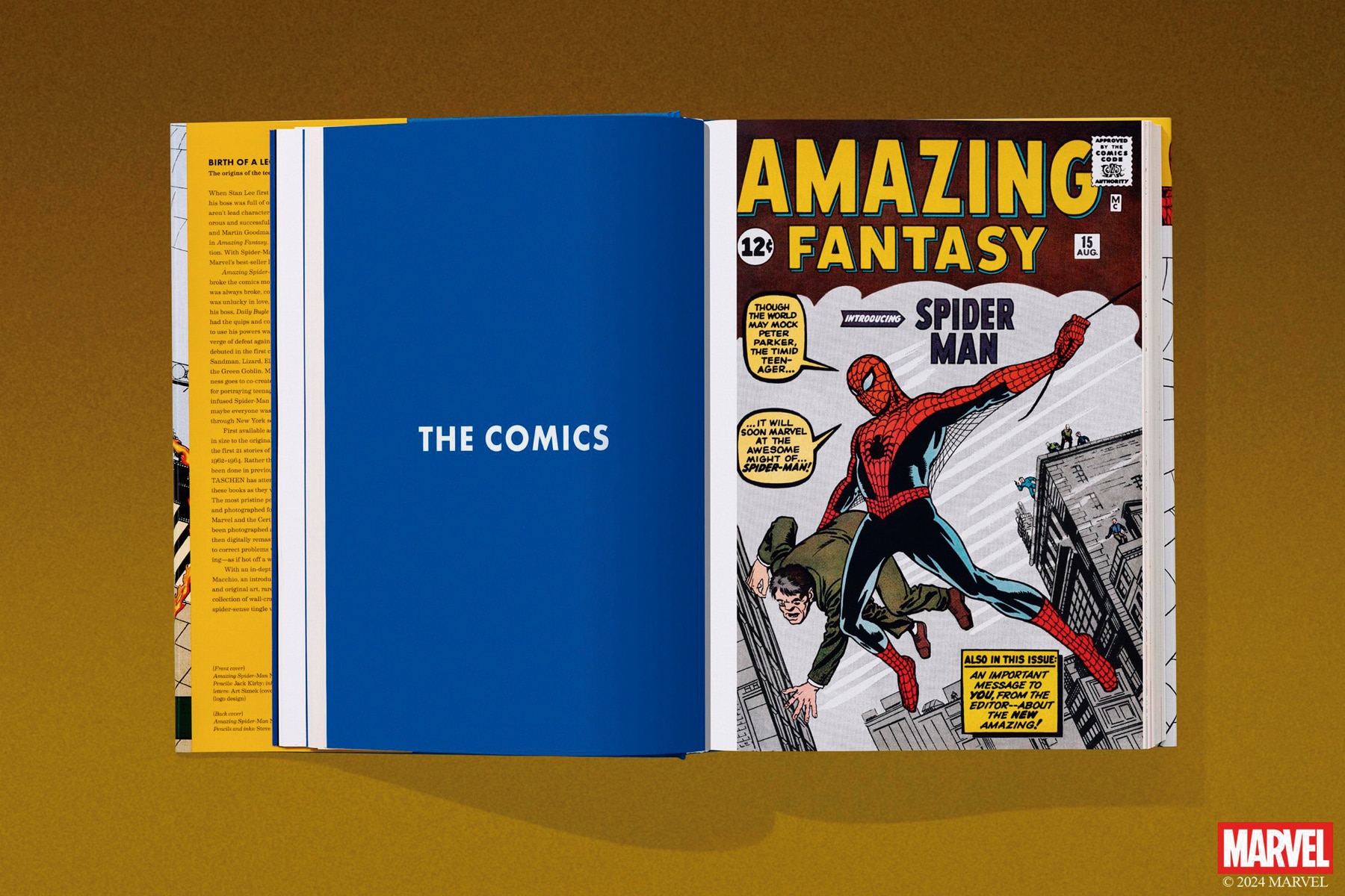 Marvel Comics Library. Spider-Man. 1962&1964 (Capa dura) 3