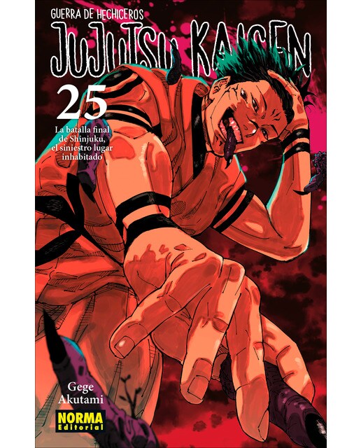 Imagen 0 de Jujutsu Kaisen 25